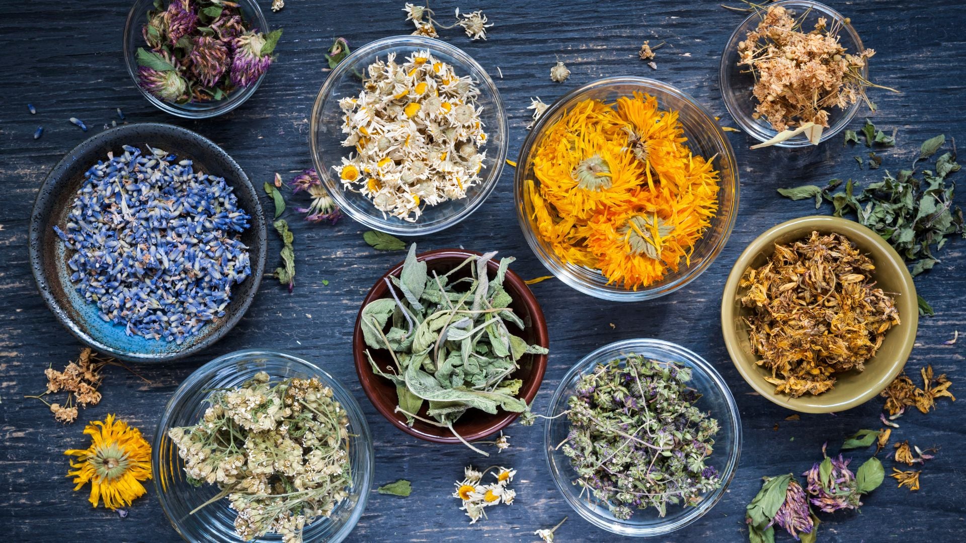 Unleashing Nature's Healing Power: Exploring the Fascinating World of Herbs